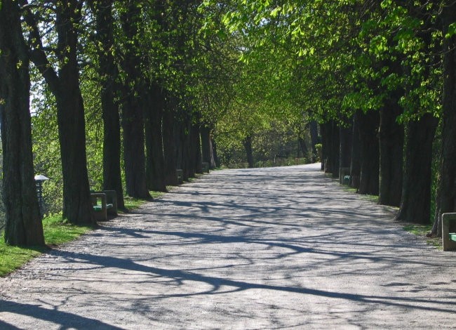 Sdtdf - foto povečava