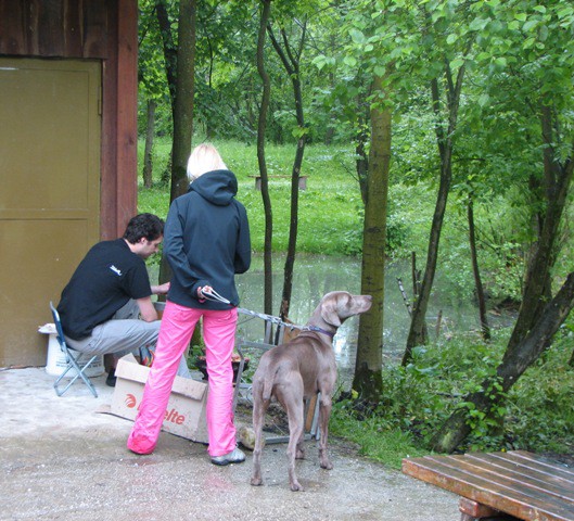 1. weimaranski piknik - foto povečava