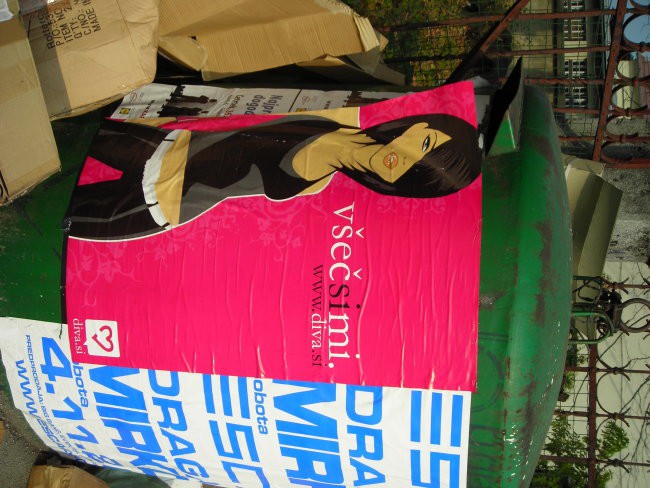 Diva - adams - foto povečava