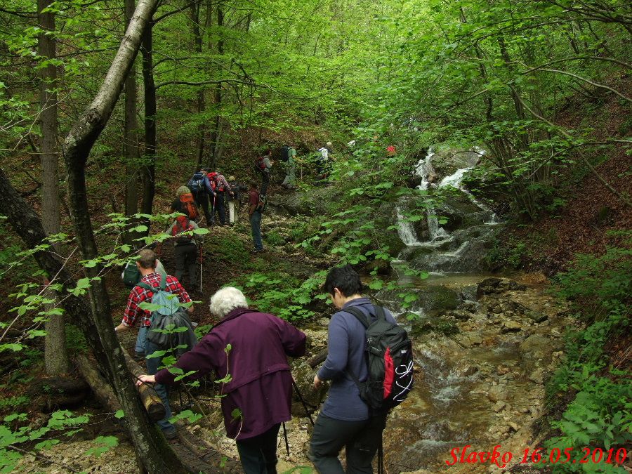 Srečanje MDO Notranjske 16.05.2010 - foto povečava