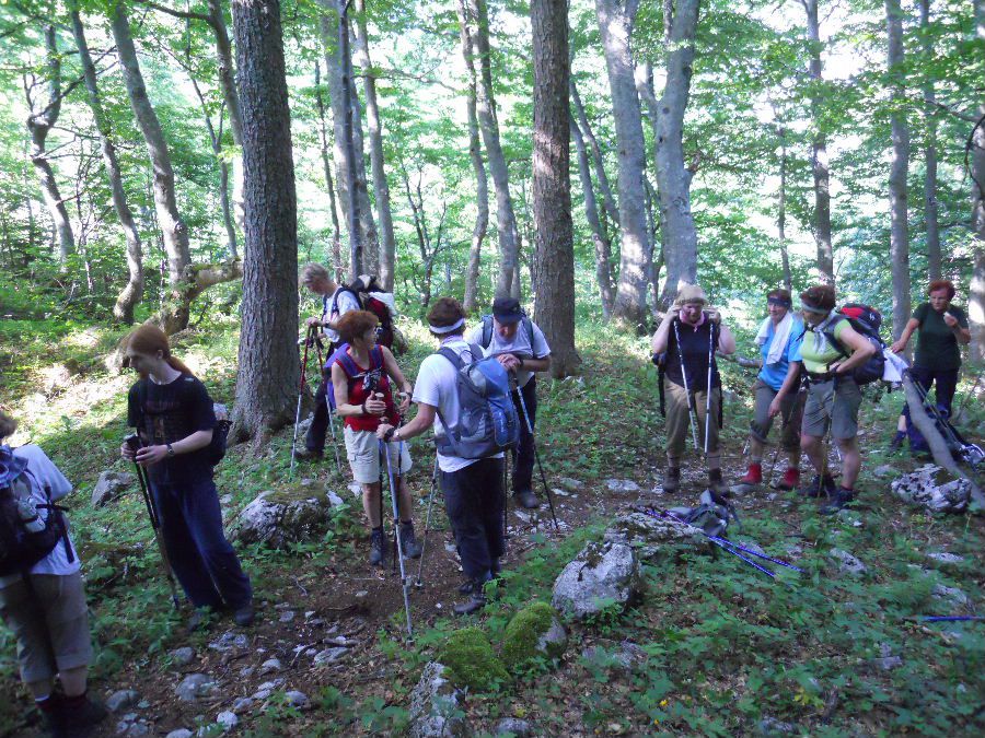 Vajnež 27.06.2010 - foto povečava