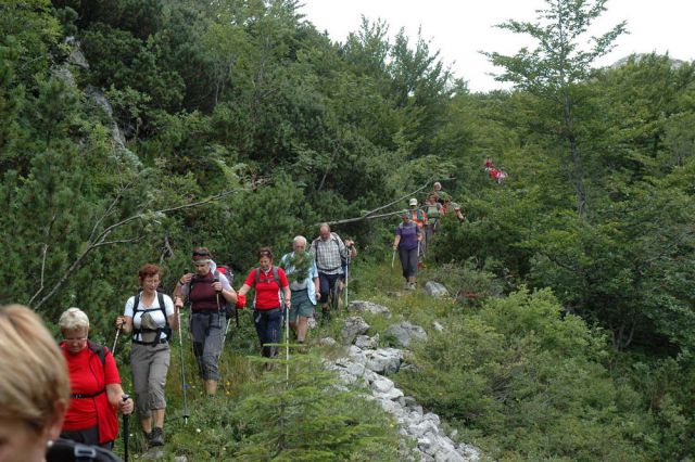 Snježnik - Risnjak - foto