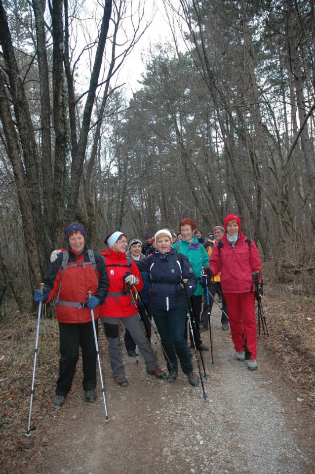 Volnik_27_02_2011 - foto povečava