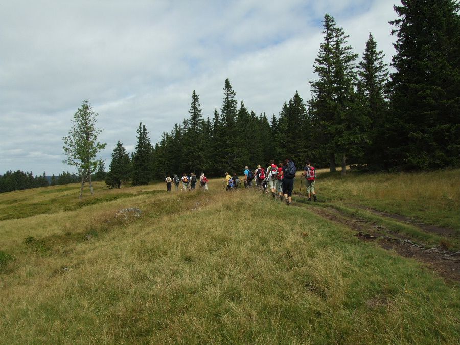 Pohorje - od Rogle do Kop 31.08.2011 - foto povečava