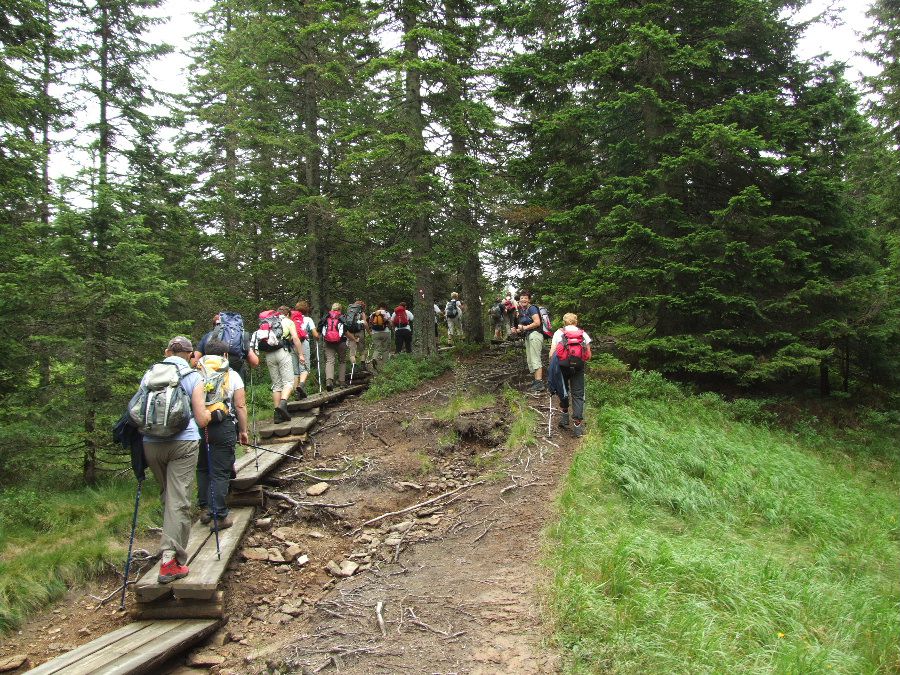 Pohorje - od Rogle do Kop 31.08.2011 - foto povečava