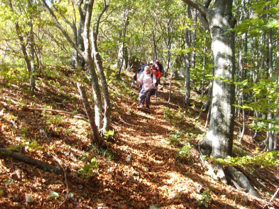 Krempa in Borič 16.10.2011 - foto povečava