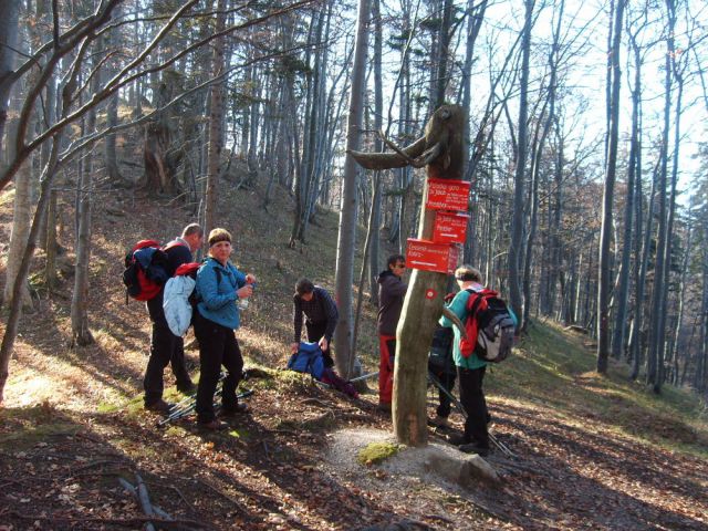 Srednji vrh pod Storžičem 13.11.2011 - foto