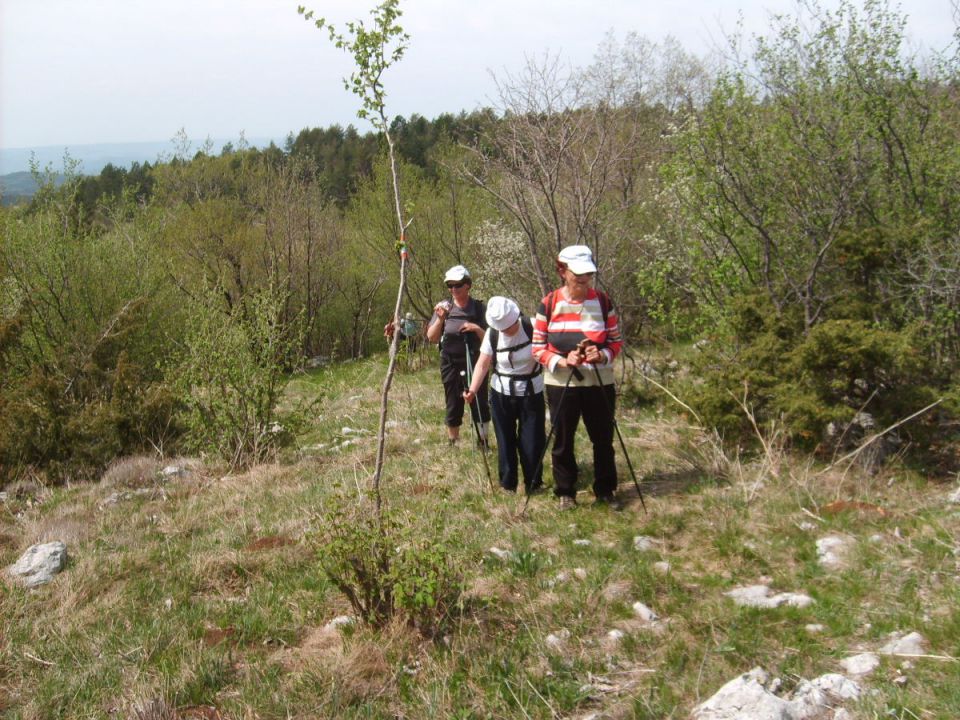 Žbevnica in Gomila 29.04.2012 - foto povečava
