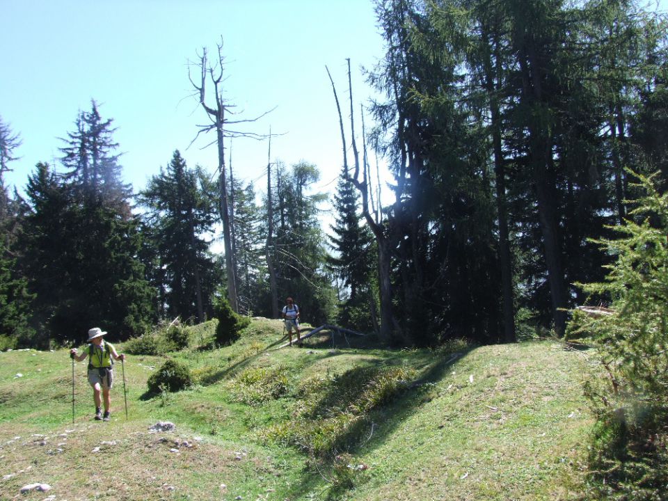 Ciprnik 19.08.2012 - foto povečava