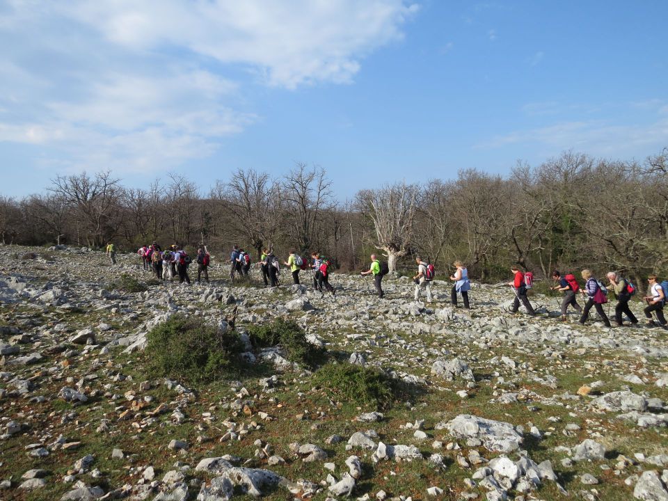 Cres Beli - foto povečava