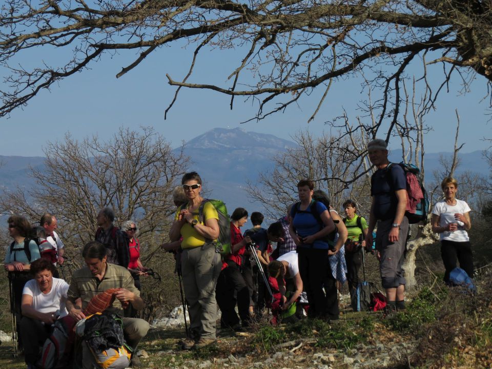 Cres Beli - foto povečava