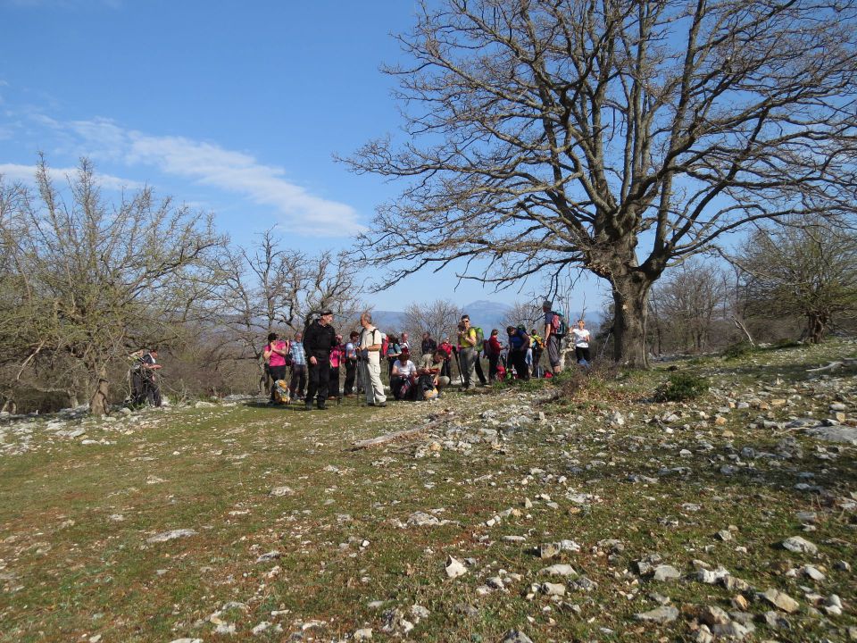 Cres Beli - foto povečava