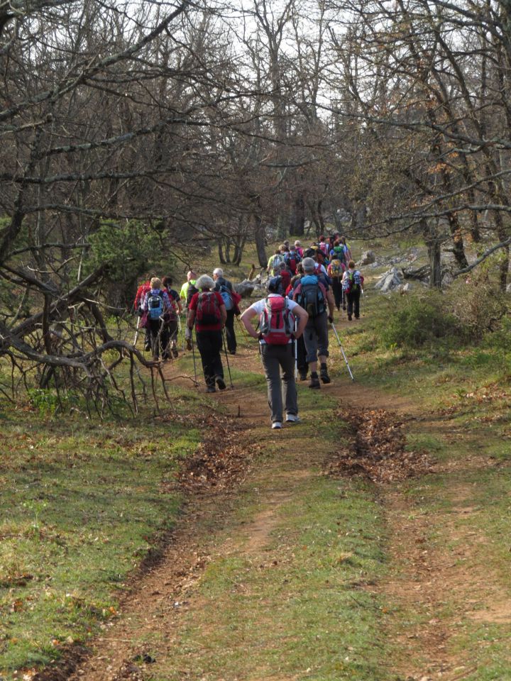 Cres Beli - foto povečava