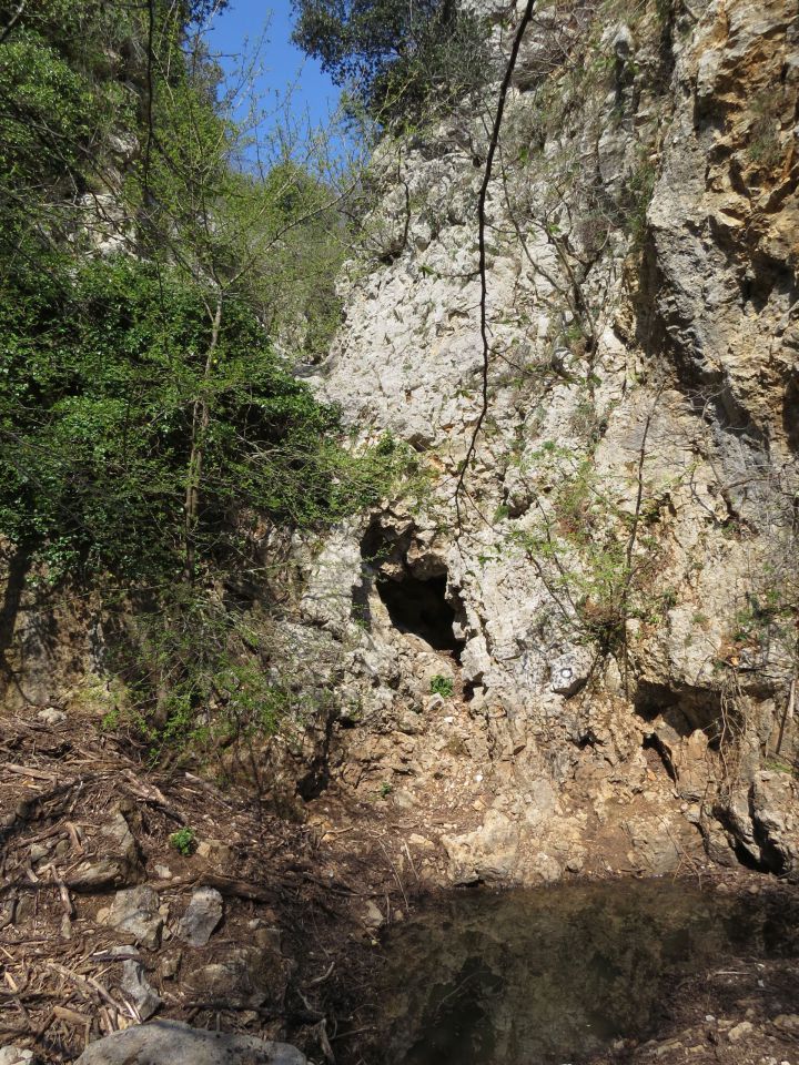 Cres Beli - foto povečava