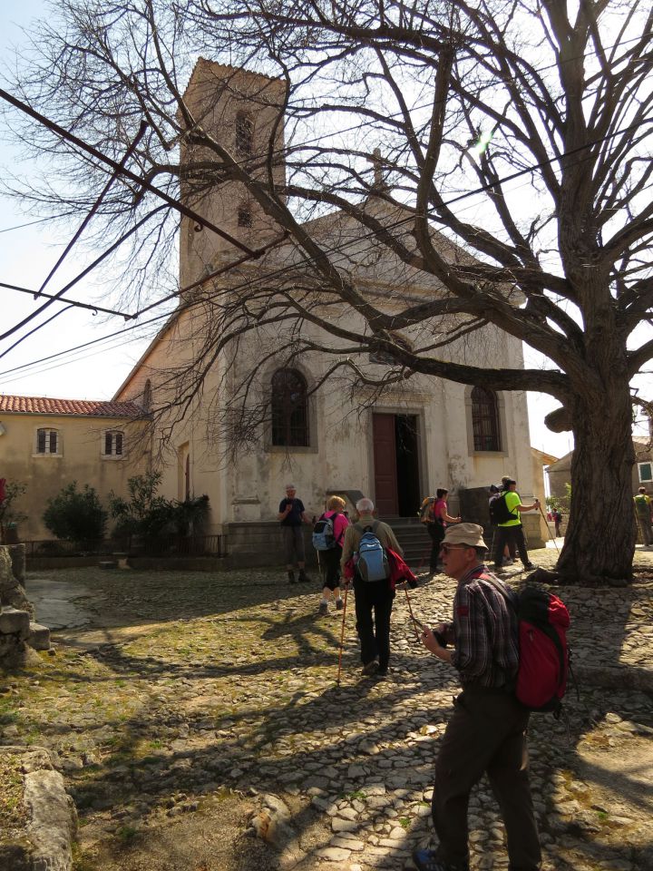 Cres Beli - foto povečava