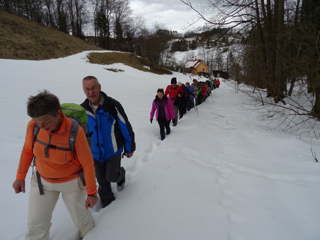 Svečinske gorice 11.03.2018 - foto