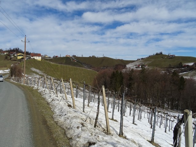 Svečinske gorice 11.03.2018 - foto