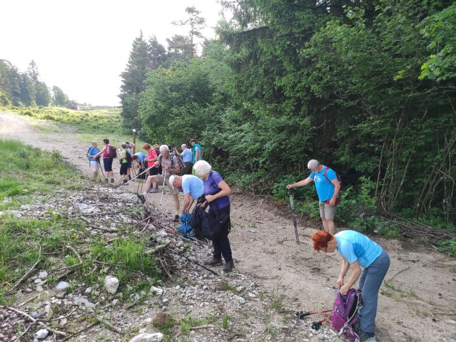8.06.2025 Vinji vrh - foto