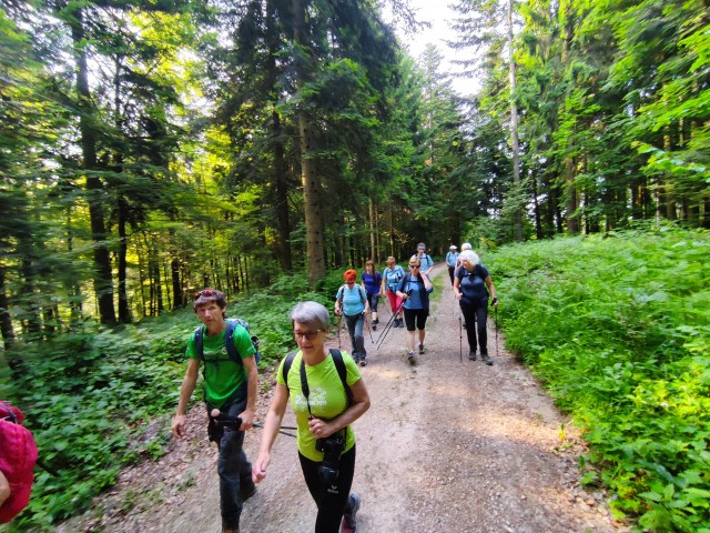 8.06.2025 Vinji vrh - foto