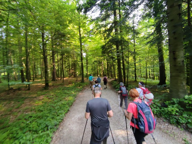 8.06.2025 Vinji vrh - foto