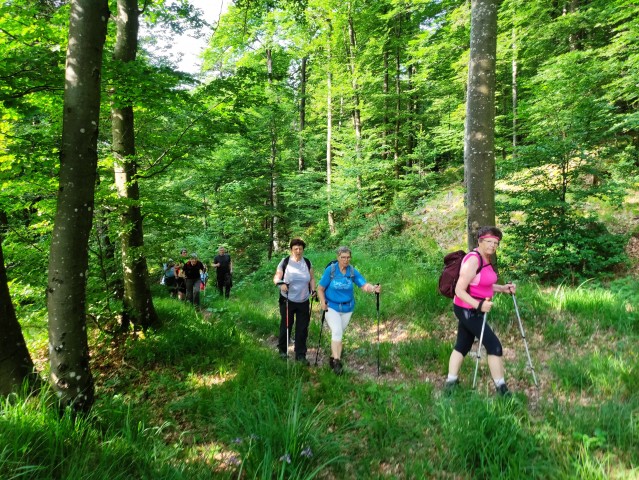 8.06.2025 Vinji vrh - foto