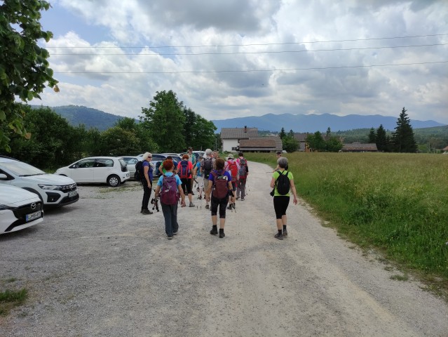 8.06.2025 Vinji vrh - foto