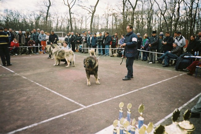 Rex - foto povečava