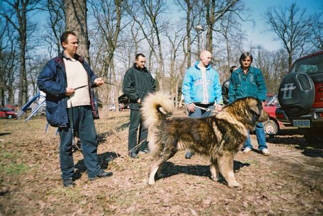 Rex - foto povečava