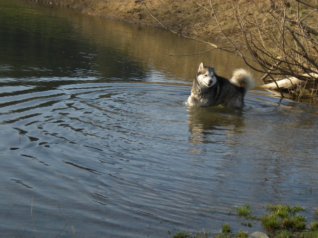 Planinsko polje 21.3.2009 - foto