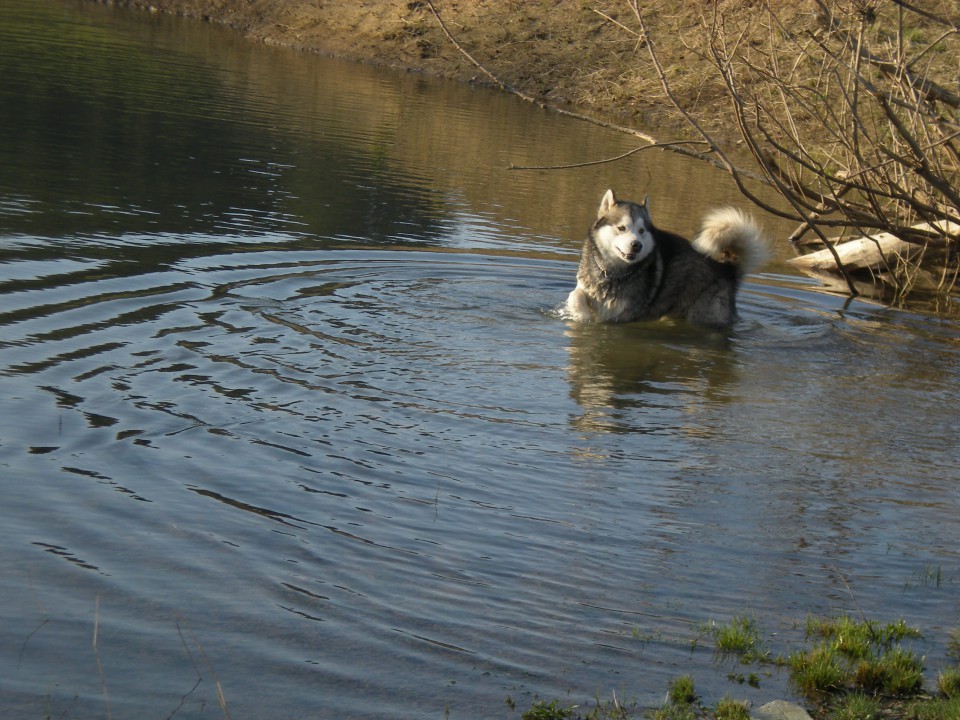 Planinsko polje 21.3.2009 - foto povečava