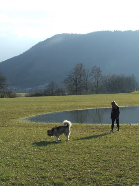 Planinsko polje 21.3.2009 - foto