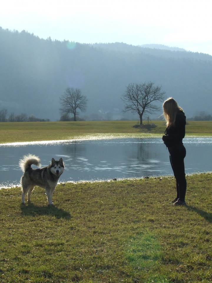 Planinsko polje 21.3.2009 - foto povečava