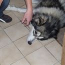 junij, julij 2006
