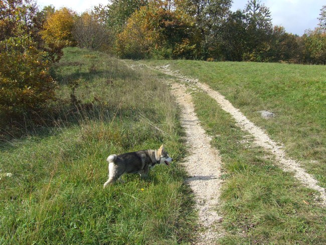 November 2006 - foto povečava