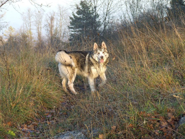 December 2006 - foto povečava