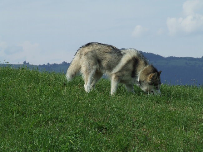 1. rojstni dan (29.6.2007) - foto povečava