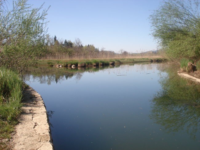 Reka Ribnica - foto povečava