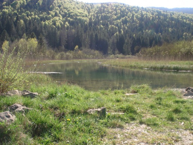 Reka Ribnica - foto
