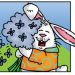 rabbit marianne d