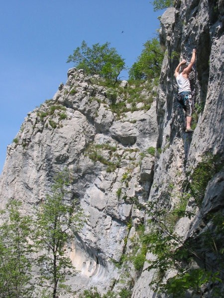 Plezanje - Vipava (ponovno) - foto
