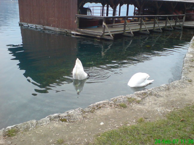 24.02.2007 Bled - foto povečava