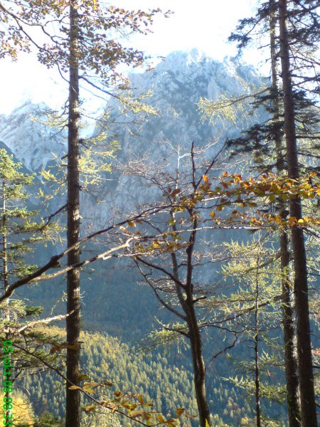 Kalška gora 05.10.2008 - foto