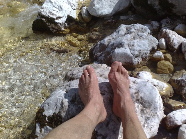 Bovški gamsovec 23.8.2009 - foto
