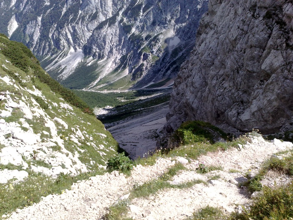 Bovški gamsovec 23.8.2009 - foto povečava