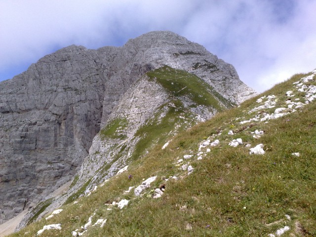 Bovški gamsovec 23.8.2009 - foto