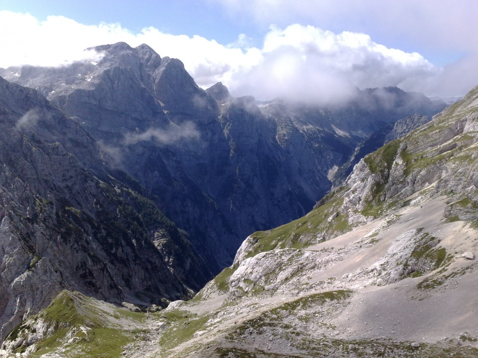 Bovški gamsovec 23.8.2009 - foto povečava