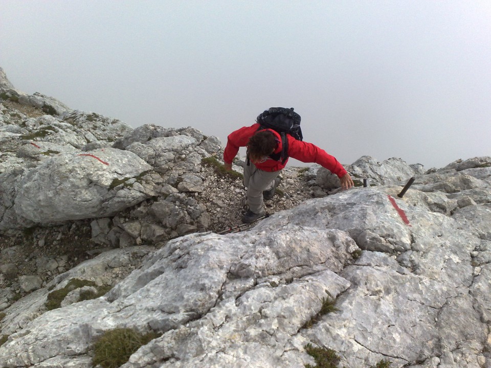 Bovški gamsovec 23.8.2009 - foto povečava