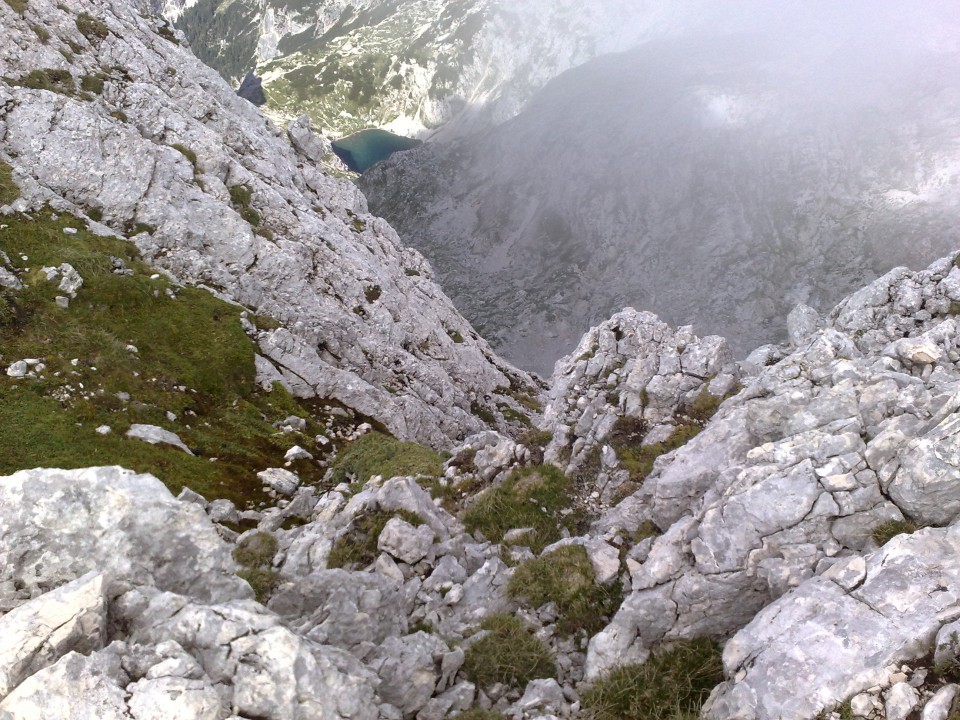 Bovški gamsovec 23.8.2009 - foto povečava