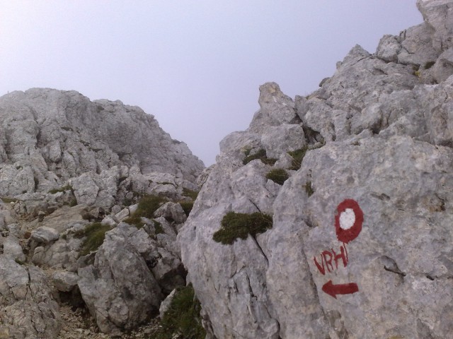 Bovški gamsovec 23.8.2009 - foto