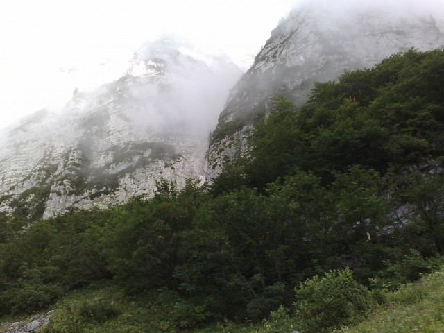 Bovški gamsovec 23.8.2009 - foto